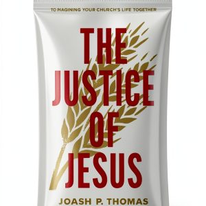 Christian Liberation Theology Brazos Press Kindle-0